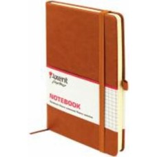 Книга для записей Partner Lux, 125 * 195, 96л, кл, коричневый Axent
