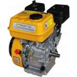 Двигатель бензиновый Forte F210GT-25