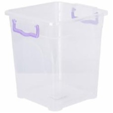 Контейнер с крышкой Violet House 0486 prenty box 11 л
