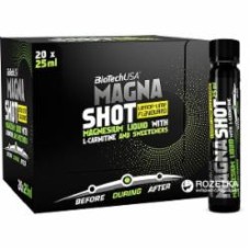 Напиток изотонический BioTechUSA Magna Shot 20x25 г