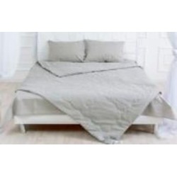 Одеяло шелковое №2364 Light Gray лето (2200003030860) 110x140 см MirSon