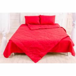 Одеяло антиаллергенное Eco-Soft №2336 Edmonda (2200003029574) 200x220 см MirSon