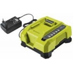Зарядное устройство RYOBI 6.0 А 36 В RY36C60A