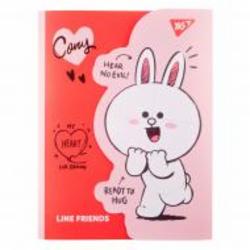 Органайзер А4 с клапаном на липучке Line Friends. Cony YES