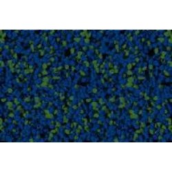 Мозаичная штукатурка Siltek Decor Silicon Mosaic 3038 25 кг