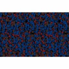Мозаичная штукатурка Siltek Decor Silicon Mosaic 4253 25 кг
