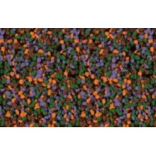 Мозаичная штукатурка Siltek Decor Silicon Mosaic 5050 25 кг
