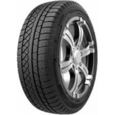 Шина PETLAS W671 315/35 R20 110 V нешипована зима
