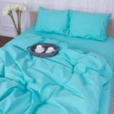 Комплект постельного белья Бязь 11-2208 Mint 220х240 см мятный MirSon