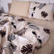 Комплект постельного белья Бязь 17-0001 Ramiro 160х220 см мультиколор MirSon