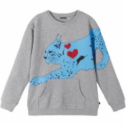 Джемпер для мальчика Reima Vaanii р.110-116 серый 5200083A-9150