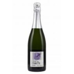 Вино игристое Cola de Cometa Cava белое брют 0,75 л