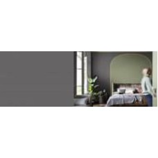 Краска акриловая FT Professional Perfect Interior глубокий мат AN.02.35 4,5 л