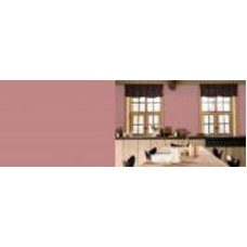Краска латексная FT Professional Perfect Interior мат B1.18.51 3 л