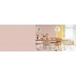 Краска латексная FT Professional Perfect Interior мат C2.06.68 1 л