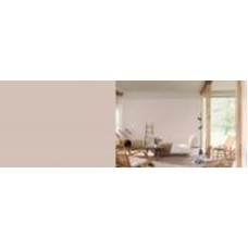Краска латексная FT Professional Perfect Interior мат C8.04.67 3 л
