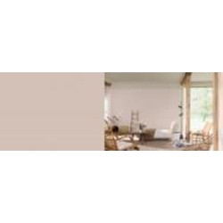 Краска латексная FT Professional Perfect Interior мат C8.04.67 3 л