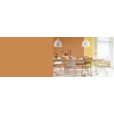 Краска латексная FT Professional Perfect Interior мат D6.38.51 0,9 л