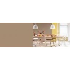 Краска латексная FT Professional Perfect Interior мат D9.19.42 0,9 л