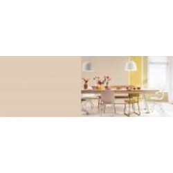 Краска латексная FT Professional Perfect Interior мат E1.08.69 3 л