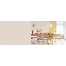 Краска латексная FT Professional Perfect Interior мат F4.04.73 3 л