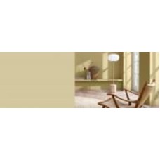 Краска латексная FT Professional Perfect Interior мат G0.16.68 (Wild Wonder) 3 л