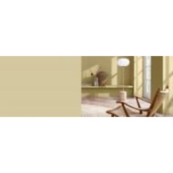 Краска латексная FT Professional Perfect Interior мат G0.16.68 (Wild Wonder) 3 л