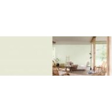 Краска акриловая FT Professional Perfect Interior глубокий мат G8.03.79 5 л