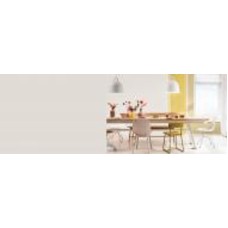 Краска акриловая FT Professional Perfect Interior глубокий мат GN.00.85 5 л