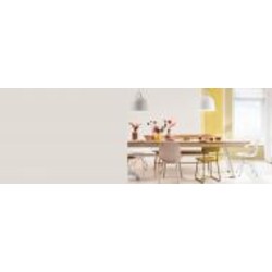 Краска акриловая FT Professional Perfect Interior глубокий мат GN.00.85 5 л