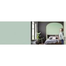 Краска латексная FT Professional Perfect Interior мат N1.06.61 1 л