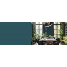 Краска акриловая FT Professional Perfect Interior глубокий мат Q3.21.27 4,5 л