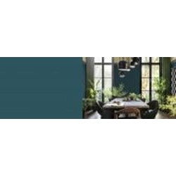 Краска акриловая FT Professional Perfect Interior глубокий мат Q3.21.27 4,5 л