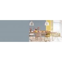 Краска латексная FT Professional Perfect Interior мат S0.10.50 (Denim Drift) 1 л