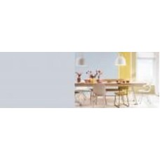 Краска акриловая FT Professional Perfect Interior глубокий мат S9.06.72 5 л