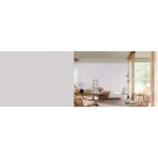 Краска акриловая FT Professional Perfect Interior глубокий мат TN.01.71 5 л
