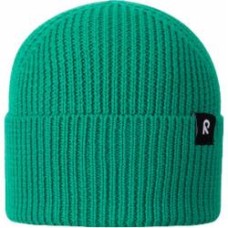 Шапка Reima Reissari р.48/50 5300022A-7580 зеленый