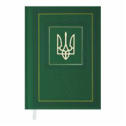 Дневник датированный NATION зеленый Buromax A5 2025 зеленый