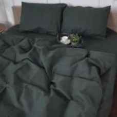 Комплект постельного белья Бязь 16-7000 Green Grey 143х210 см серо-зеленый MirSon