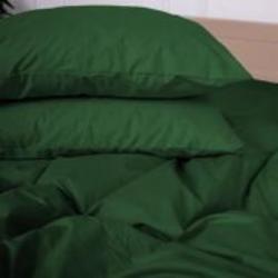 Наволочка Ranforce Elite Carolina 18-0130 40x40 см зеленый MirSon