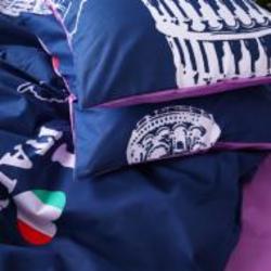 Наволочка бязь 17-0195-1 Reinar 40x40 см мульти MirSon