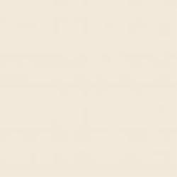 Краска фасадная водоэмульсионная Bayris LATEX FAСADE мат F095 4,2 кг