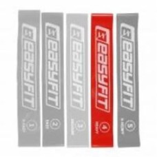 Резинка для фитнеса EasyFit #4 15 кг EF-1813 красный