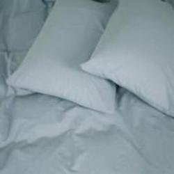 Наволочка вареный хлопок 40-0018 Northern Tale 40x40 см голубой MirSon