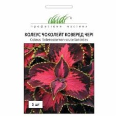 Семена Професійне насіння колеус Чоколейт коверд чери 5 шт. (4823058203386)