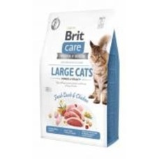 Корм Brit Care GF Large cats утка и курица 171310 2 кг