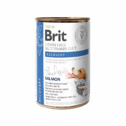 Корм влажный для взрослых собак и котов для всех пород Brit VetDiets во время выздоровления, восстановления после операции (лосось) 400 г