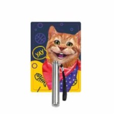 Игрушка DGT-PETS Лазерная указка-фонарик FG221228007G