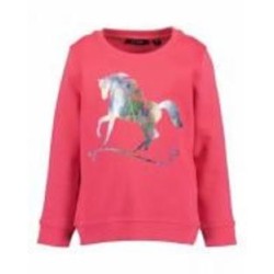 Реглан для девочки Blue Seven р.128 фламинго 764674 X* Реглан для девочки Blue Seven р.128 фламинго 764674 X*