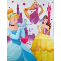 Пакет подарочный детский 26x12x34,5 см в ассортименте Disney